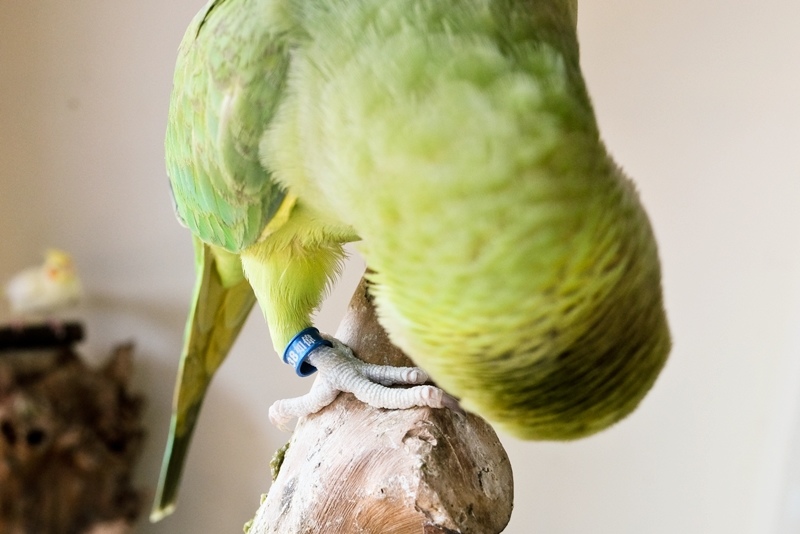 DSCF0548.jpg DSCF0548.jpg