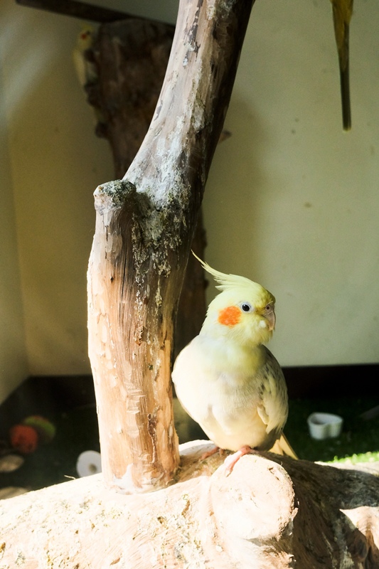 DSCF0565.jpg DSCF0565.jpg