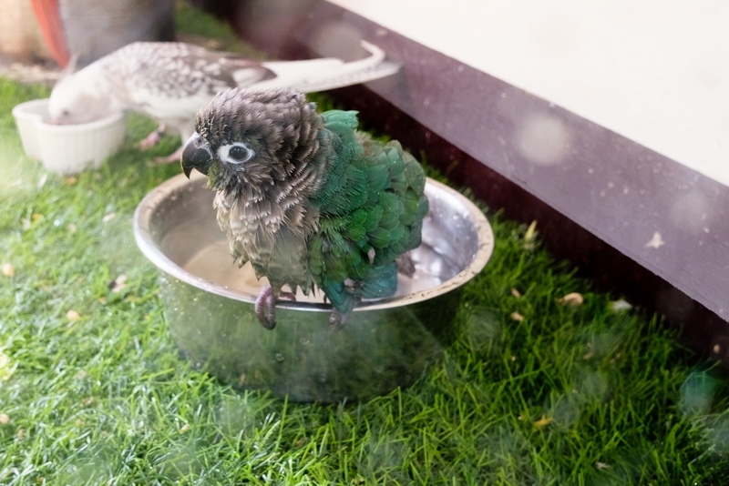 DSCF0572.jpg DSCF0572.jpg