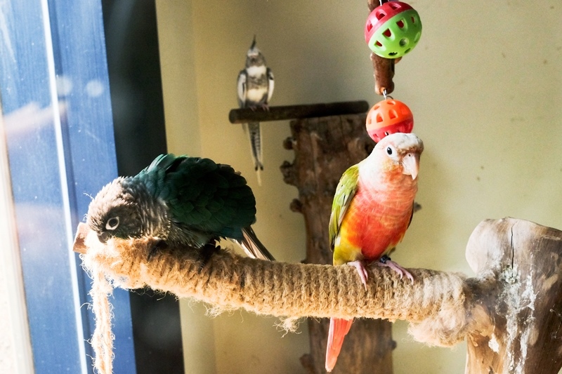 DSCF0580.jpg DSCF0580.jpg