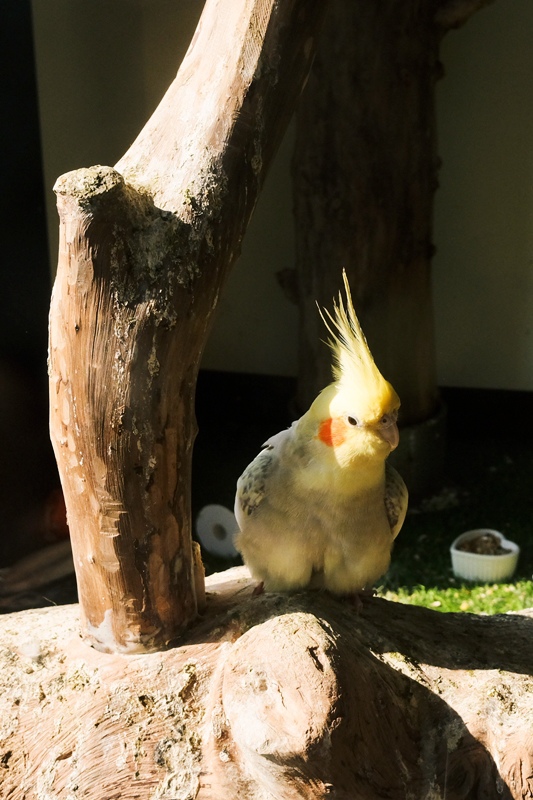 DSCF0584.jpg DSCF0584.jpg