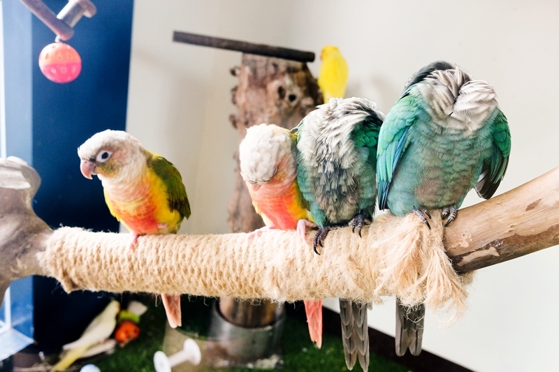 DSCF0596.jpg DSCF0596.jpg