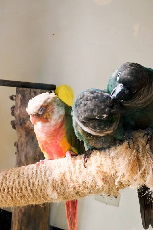 DSCF0601.jpg DSCF0601.jpg