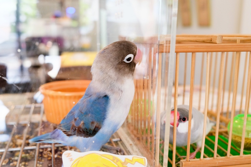 DSCF0440.jpg DSCF0440.jpg