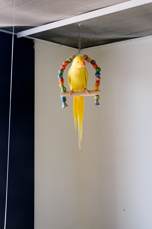 DSCF0443.jpg DSCF0443.jpg