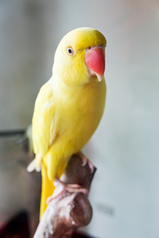 DSCF0447.jpg DSCF0447.jpg