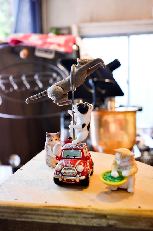 DSC_0558.jpg DSC_0558.jpg