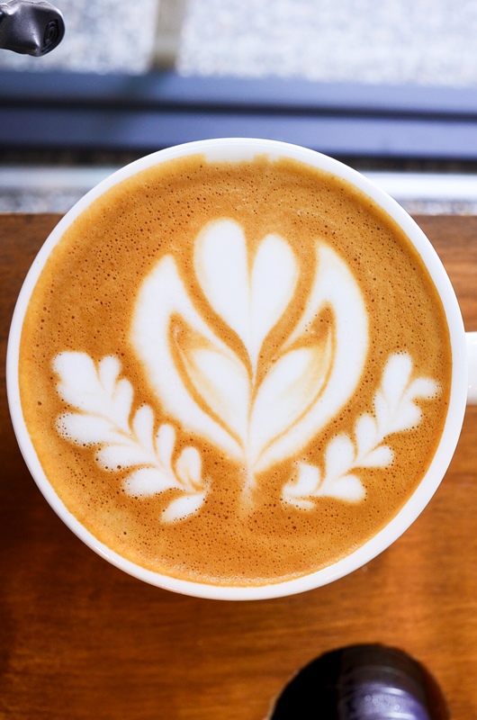 DSC_0559.jpg DSC_0559.jpg