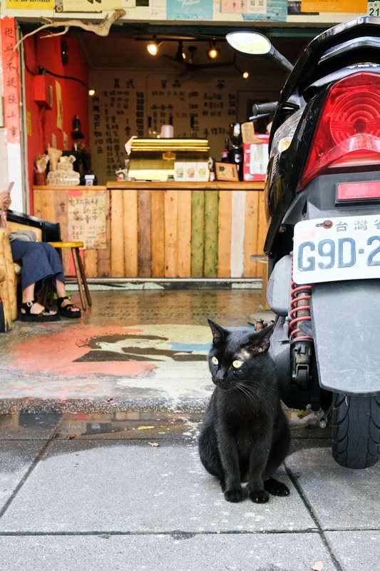 DSCF0347.jpg DSCF0347.jpg