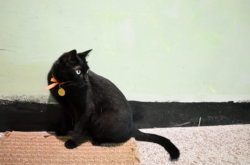 DSC_3614.jpg DSC_3614.jpg