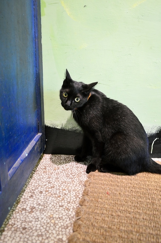 DSC_3609.jpg DSC_3609.jpg