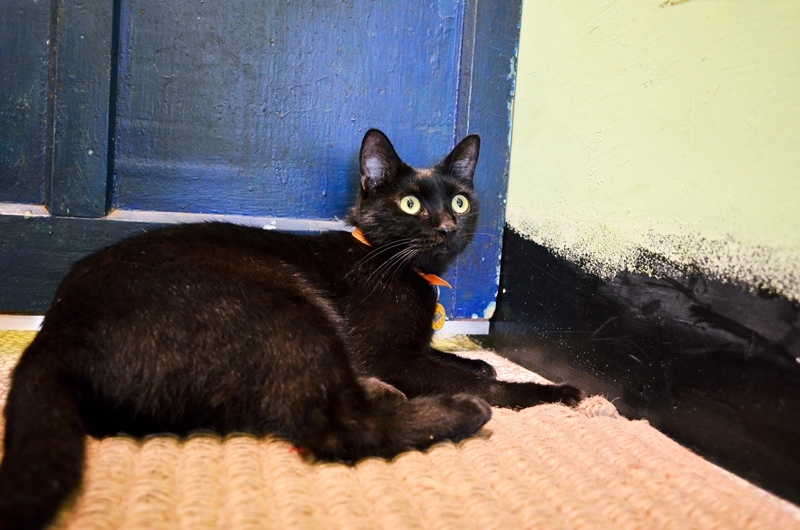 DSC_3620.jpg DSC_3620.jpg