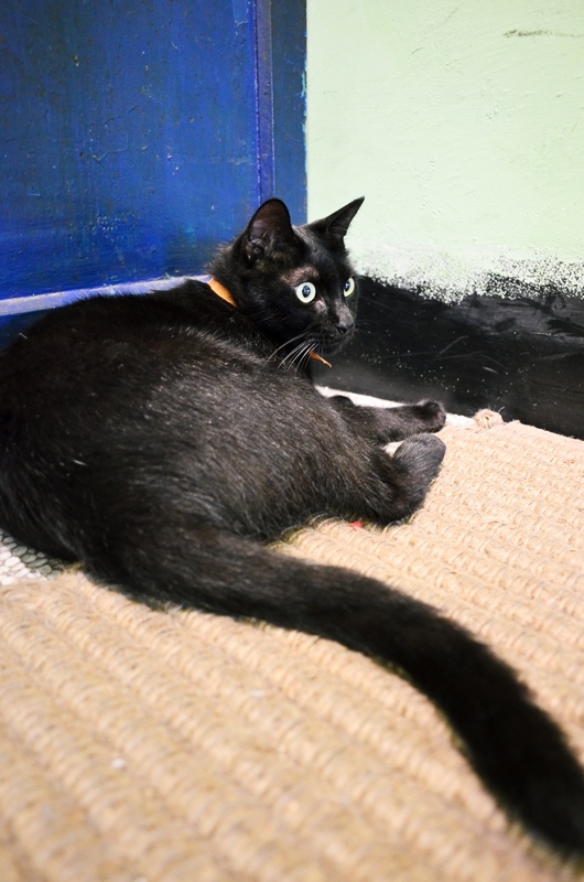 DSC_3615.jpg DSC_3615.jpg