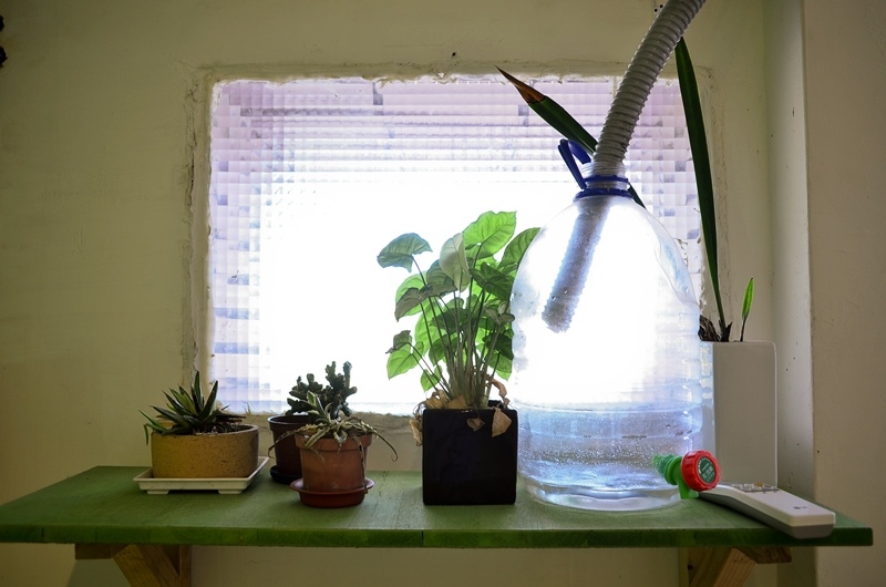 DSC_3623.jpg DSC_3623.jpg