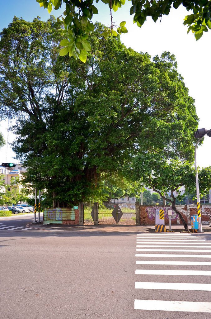 DSC_0436.jpg DSC_0436.jpg