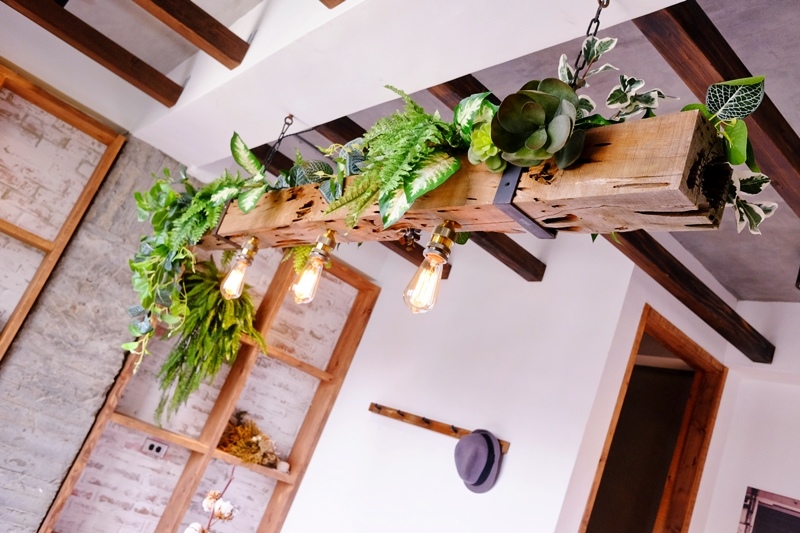 DSCF0921.jpg DSCF0921.jpg