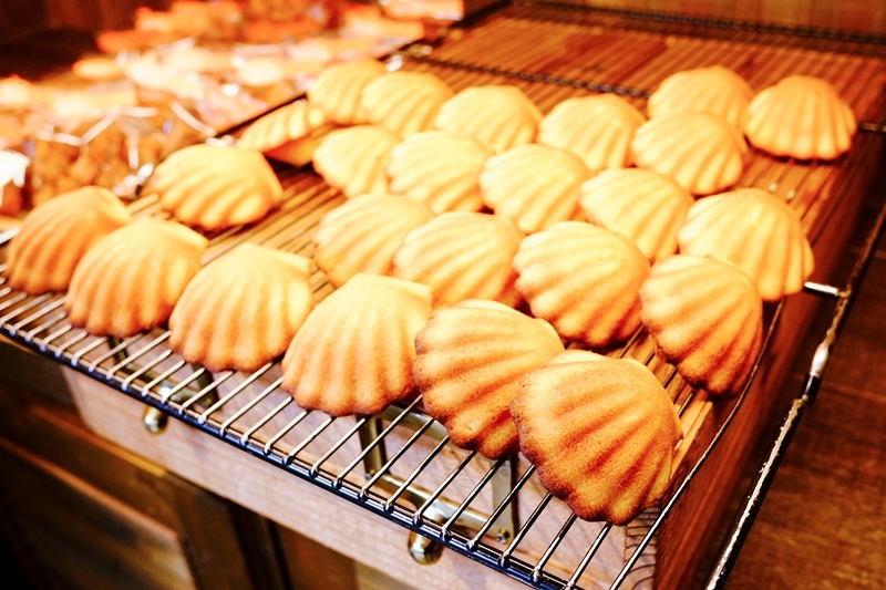 DSCF2243.jpg DSCF2243.jpg