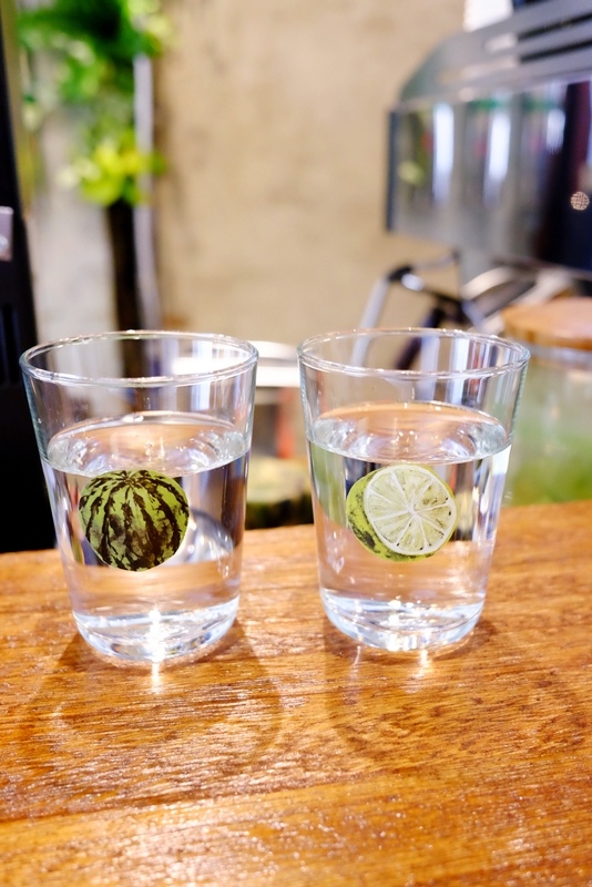 DSCF1876.jpg DSCF1876.jpg