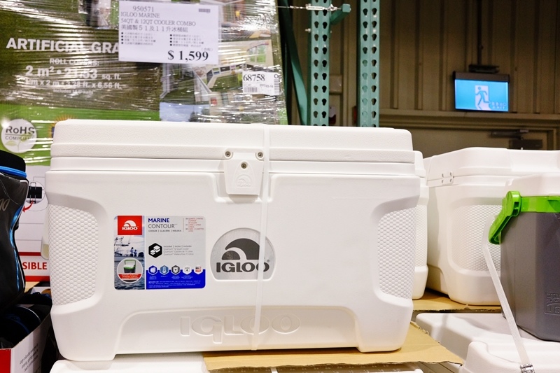 DSCF2558.jpg DSCF2558.jpg