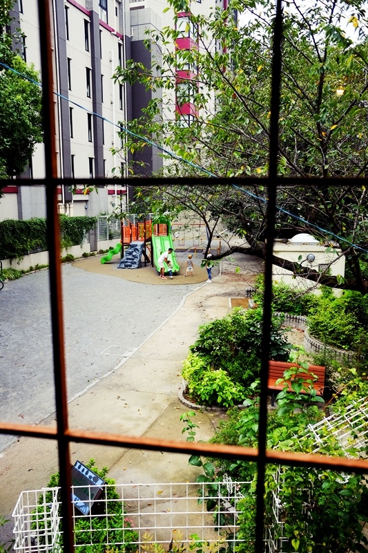 DSCF9649.jpg DSCF9649.jpg