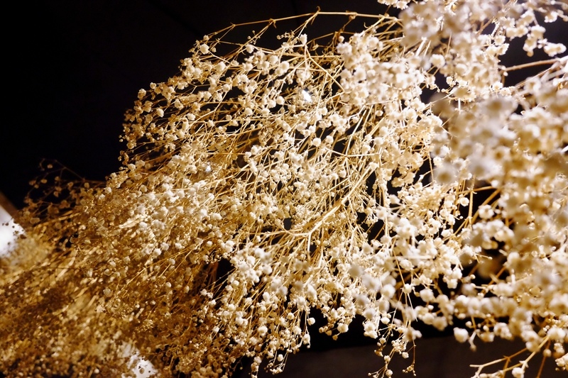 DSCF2422.jpg DSCF2422.jpg