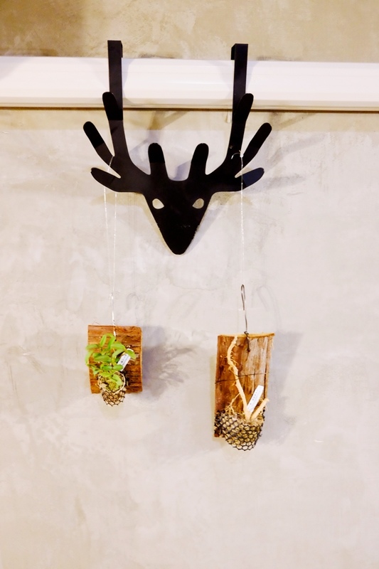 DSCF2441.jpg DSCF2441.jpg