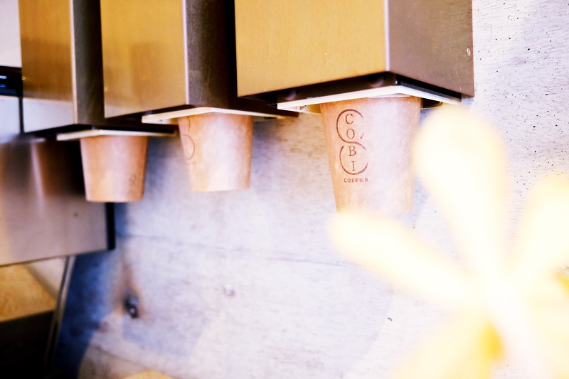 DSCF1651.jpg DSCF1651.jpg