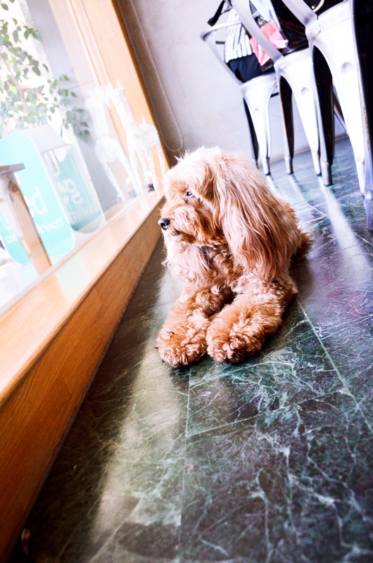 DSC_0205.jpg DSC_0205.jpg