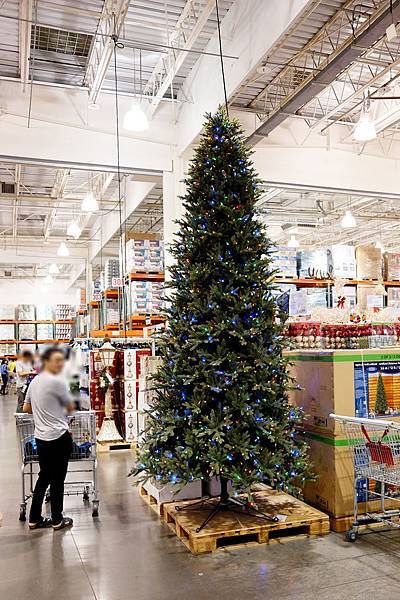 DSCF4656.jpg DSCF4656.jpg