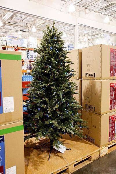 DSCF4658.jpg DSCF4658.jpg