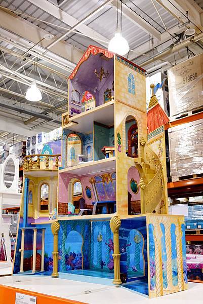 DSCF4665.jpg DSCF4665.jpg