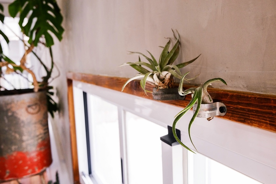 DSCF7470.jpg DSCF7470.jpg