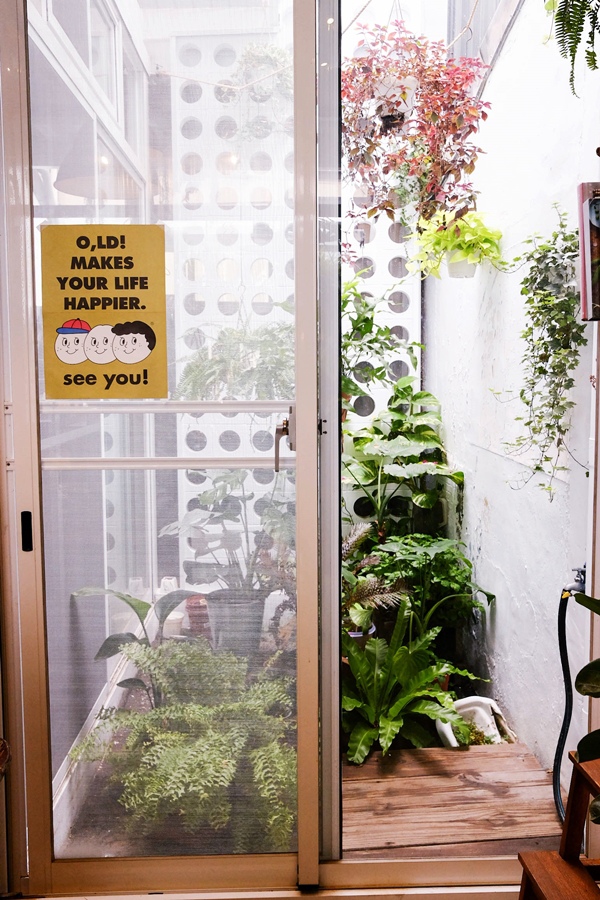 DSCF7372.jpg DSCF7372.jpg