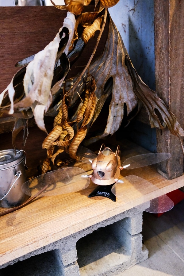 DSCF7380.jpg DSCF7380.jpg