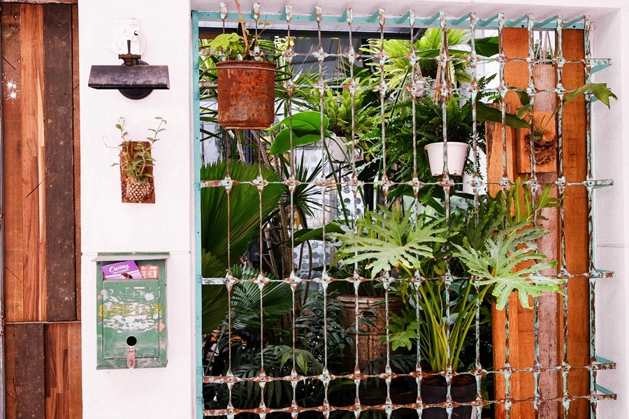 DSCF7385.jpg DSCF7385.jpg