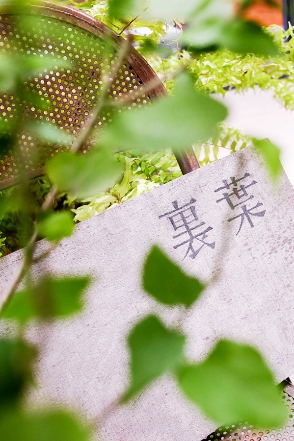 DSCF7389.jpg DSCF7389.jpg