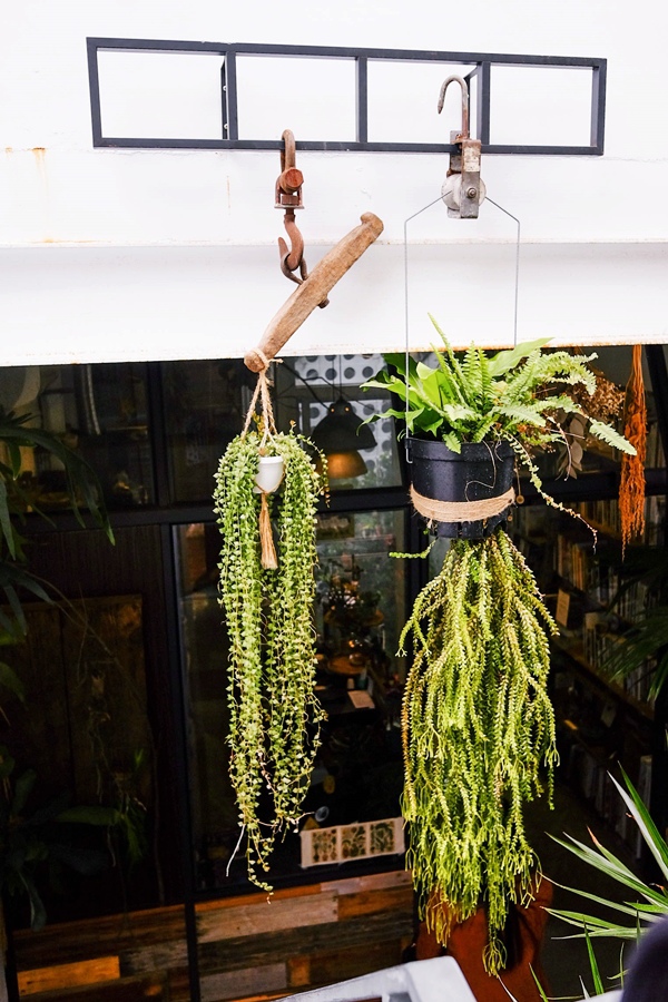 DSCF7394.jpg DSCF7394.jpg