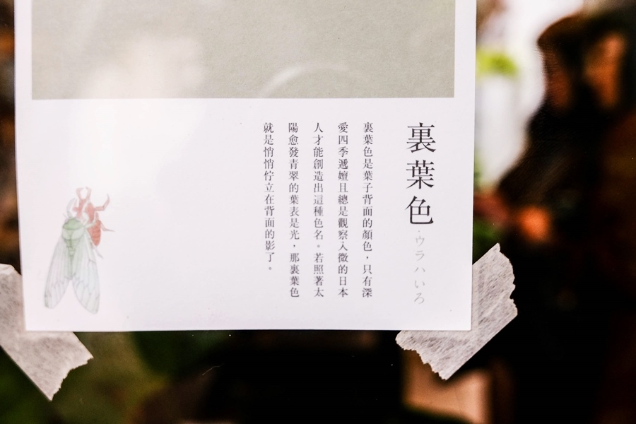 DSCF7396.jpg DSCF7396.jpg