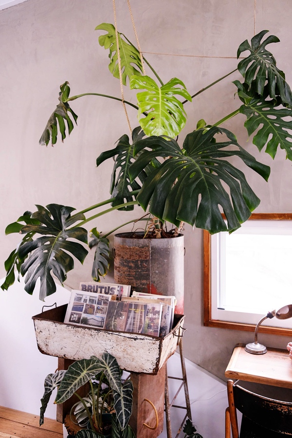 DSCF7457.jpg DSCF7457.jpg