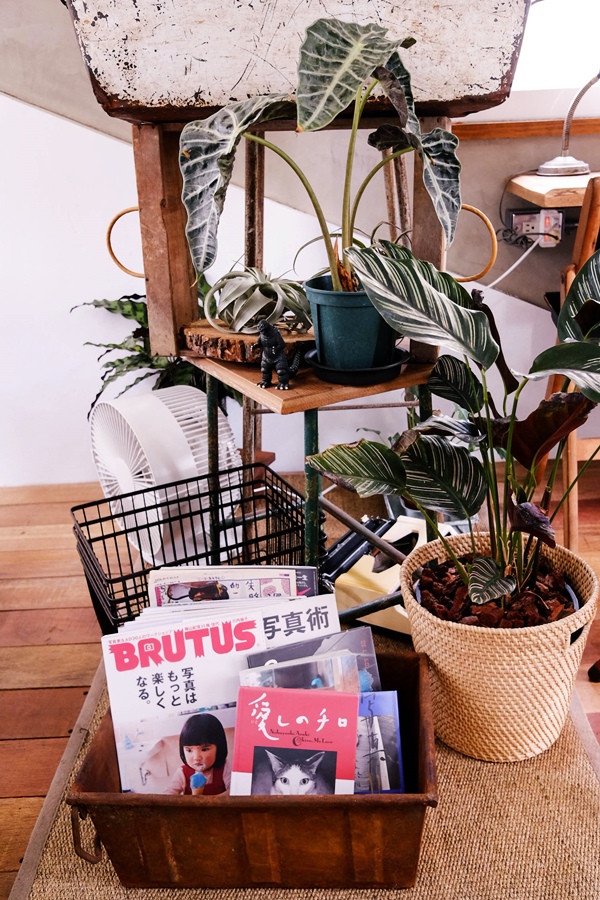 DSCF7458.jpg DSCF7458.jpg