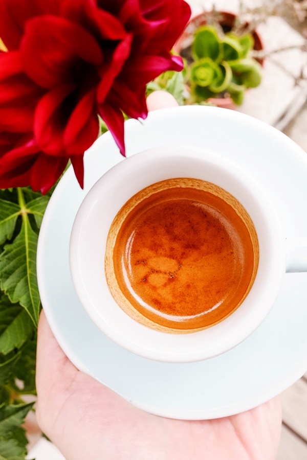 DSCF6521.jpg DSCF6521.jpg