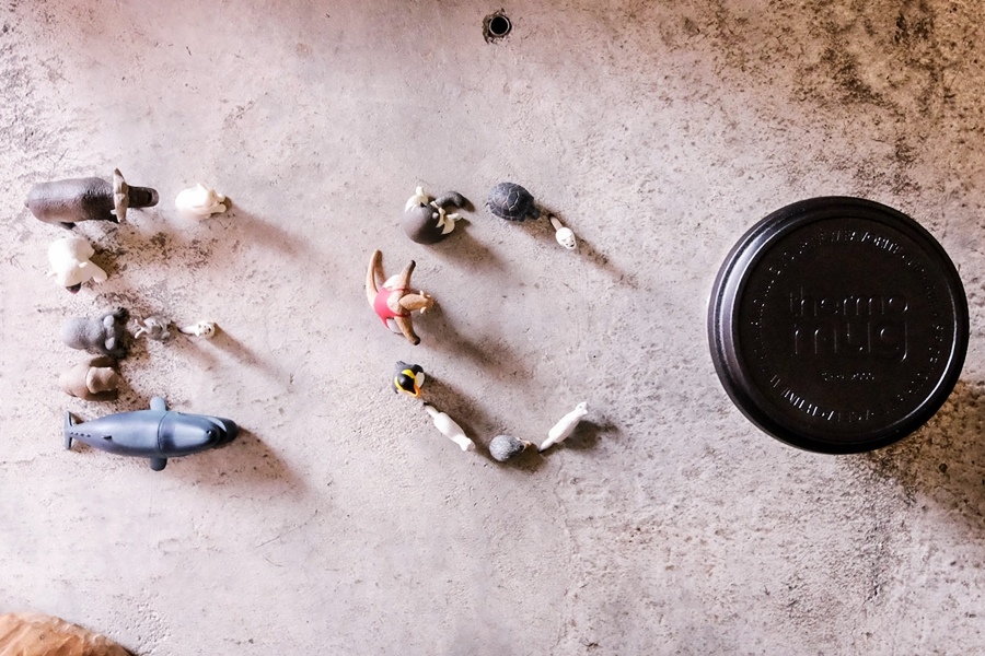 DSCF7634.jpg DSCF7634.jpg