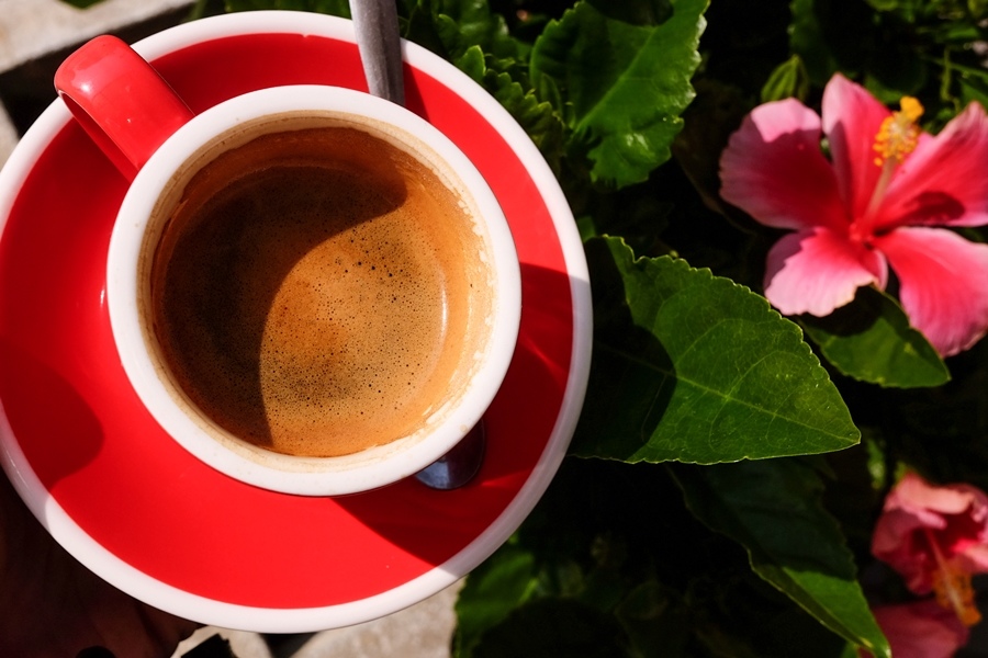 DSCF0734.jpg DSCF0734.jpg