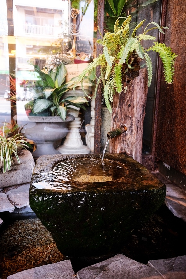 DSCF0199.jpg DSCF0199.jpg