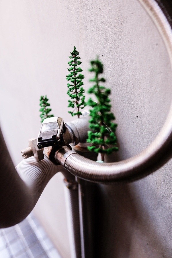 DSCF1521.jpg DSCF1521.jpg