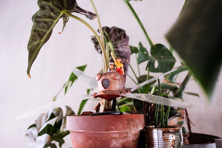 DSCF1517.jpg DSCF1517.jpg