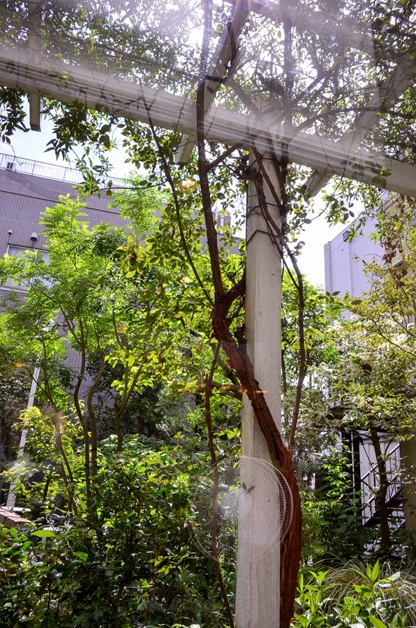 DSC_1640.jpg DSC_1640.jpg