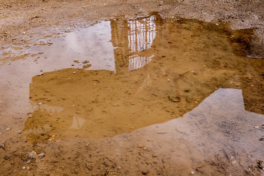 東濱恐龍公園2.jpg 東濱恐龍公園2.jpg