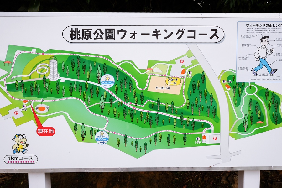 桃原公園長滑梯4.jpg 桃原公園長滑梯4.jpg