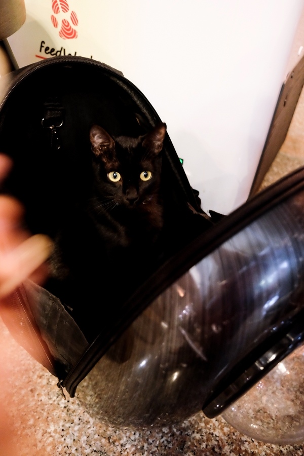 DSCF1459.jpg DSCF1459.jpg